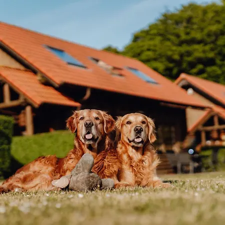 Blockhaus Leif Eriksson - 2 Reihe Meerblick *